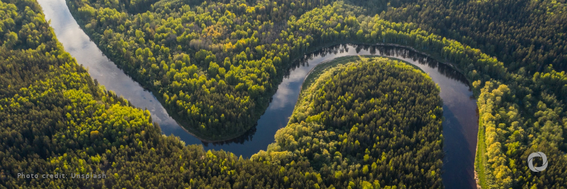 Federal Ministry for Economic Cooperation and Development of Germany makes 35 million euros available to protect the rainforest in Brazil