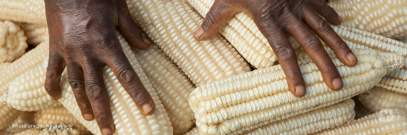 Minister pledges UK support at Africa summit to fight food insecurity Minister pledges UK support at Africa summit to fight food insecurity