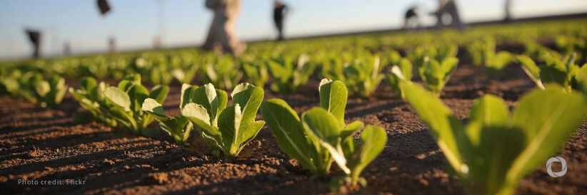 IFAD and African Development Bank are on a mission to boost agricultural productivity in Africa