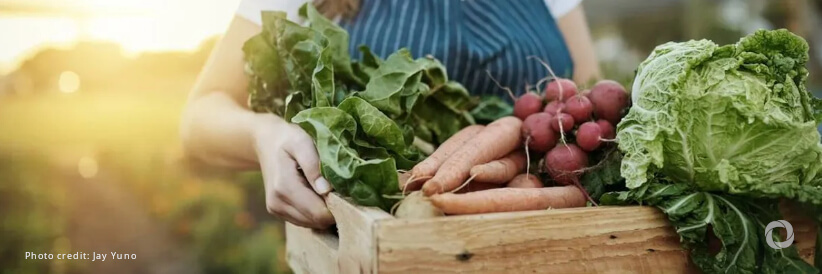 Latin America and Caribbean can be at the forefront of global food and agriculture, provided it first tackles hunger and inequality