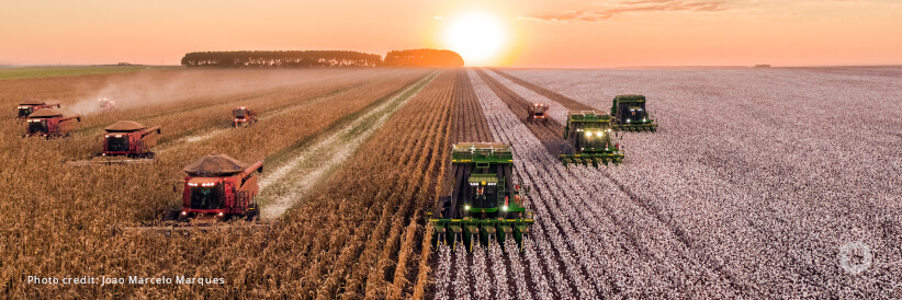 Germany gives EUR 2.85 million to support safe agriculture trade in developing countries