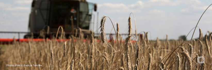 FAO outlines three pillars of action for initiatives in Ukraine in 2023