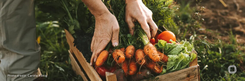 Transforming agrifood systems requires changing policies, mindsets, and business models