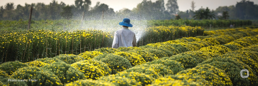 ADB issues first Azerbaijan manat bond to finance food supply chain project