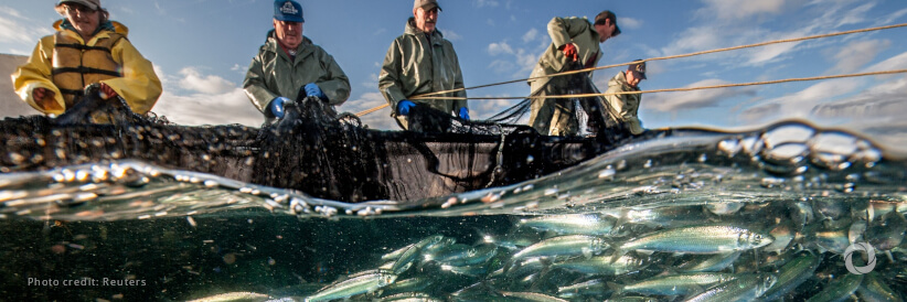 EU pledges €1 million for landmark WTO agreement on fisheries subsidies EU pledges €1 million for landmark WTO agreement on fisheries subsidies