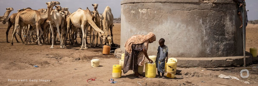 Drought in the Horn of Africa: ACTED’s response to water scarcity in Northern Kenya