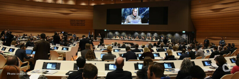 FAO’s support for Pakistan: from immediate response to resilience building FAO’s support for Pakistan: from immediate response to resilience building