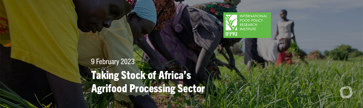 Taking Stock of Africa’s Agrifood Processing Sector