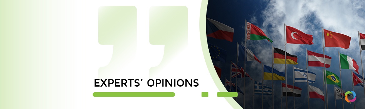 Coordination or conflict? The causes and consequences of institutional overlap | Experts’ Opinions