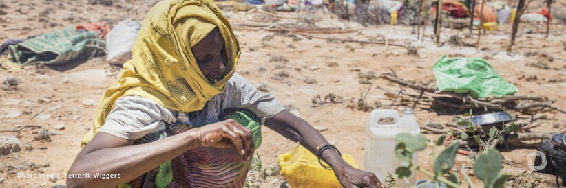 Catastrophic consequences of Horn of Africa drought will continue in 2023 Catastrophic consequences of Horn of Africa drought will continue in 2023