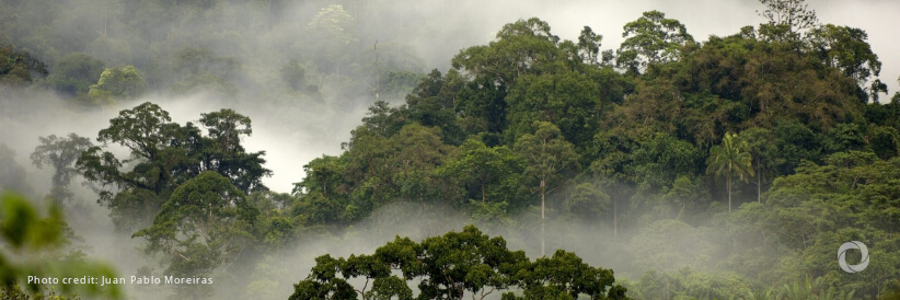 World Bank and Ethiopia sign $40 million agreement to cut carbon emissions through sustainable landscape management World Bank and Ethiopia sign $40 million agreement to cut carbon emissions through sustainable landscape management