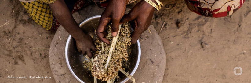 NGOs call for urgent reforms to famine prevention NGOs call for urgent reforms to famine prevention