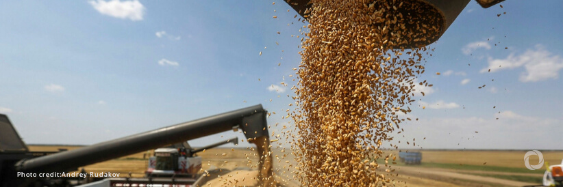 First shipment of 33,000 tons of wheat helps rebuild Lebanon’s stock and ensure access to affordable bread First shipment of 33,000 tons of wheat helps rebuild Lebanon’s stock and ensure access to affordable bread