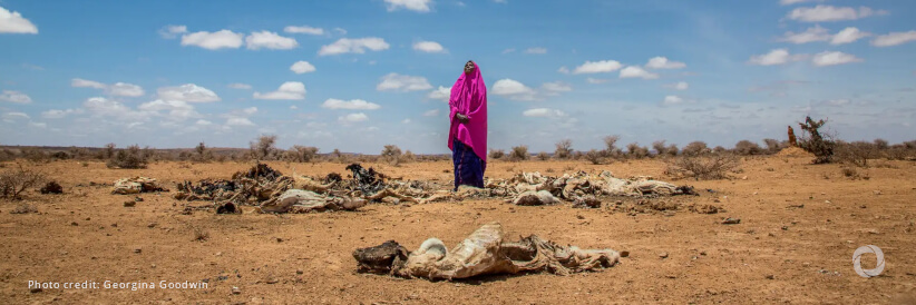 The International Rescue Committee joins hands with other humanitarian partners to seek US$2.6 billion to scale up drought response in Somalia in 2023 The International Rescue Committee joins hands with other humanitarian partners to seek US$2.6 billion to scale up drought response in Somalia in 2023