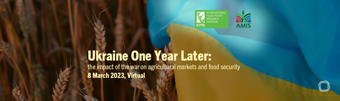Ukraine One Year Later: the impact of the war on agricultural markets and food security