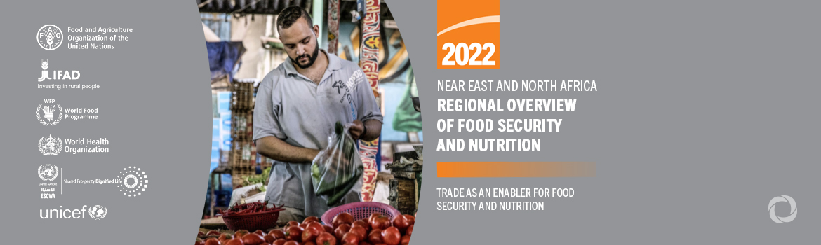 UN report warns of accelerating food insecurity in the Arab region due to global crises