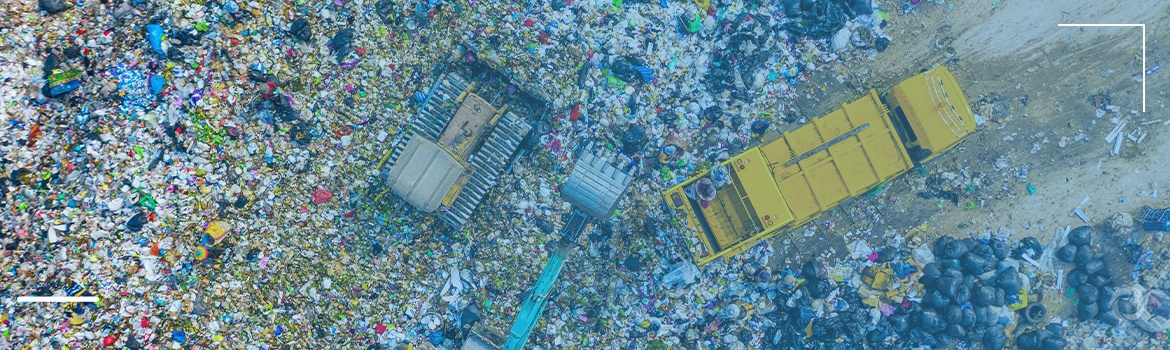 World waste: statistics by country and brief facts