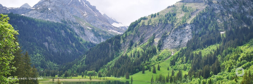 LIFE programme: EU invests more than €116 million in nature, environment and climate Strategic Projects