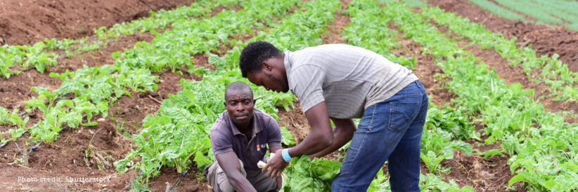 Time to step up investments in rural communities on the frontline of climate change in the Pacific islands Time to step up investments in rural communities on the frontline of climate change in the Pacific islands