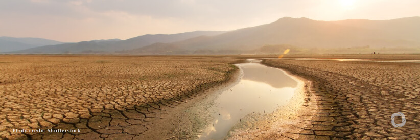 UN 2023 Water Conference: FAO calls for responsive and innovative drought financing mechanisms