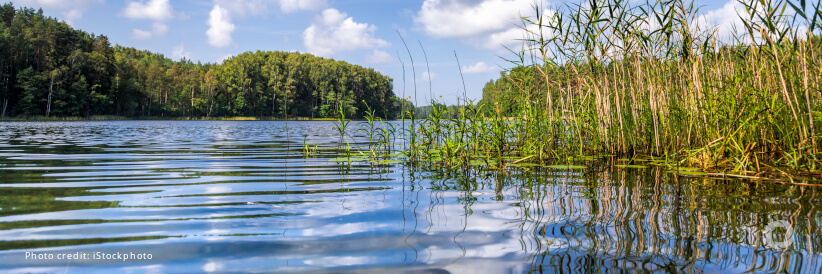 Available data on water-related ecosystems doubles, improving countries’ ability to track SDGs