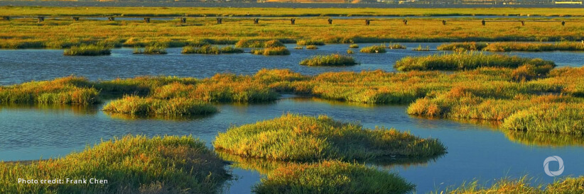 Largest river and wetland restoration initiative in history launched at UN Water Conference