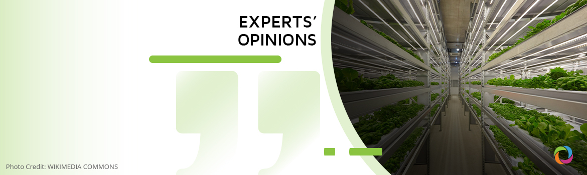 Could vertical farming be the solution to halt climate change and end world hunger? | Experts’ Opinions