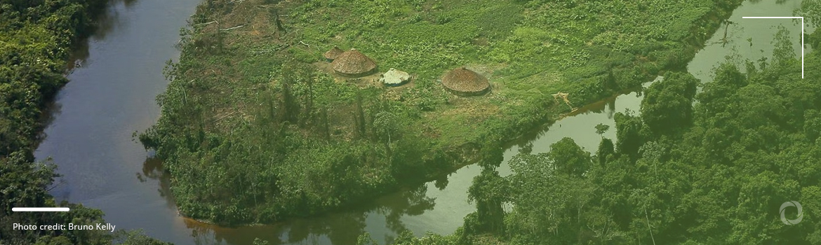 Yanomami genocide and land demarcation. Brazilian government’s challenges with indigenous people