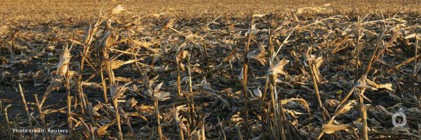 Threat of El Niño looms, FAO prepares anticipatory actions with Members and partners