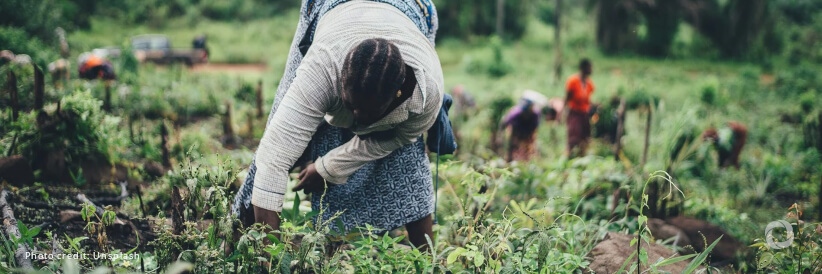 NDF and UNDP enter into a new partnership to unlock public and private climate finance NDF and UNDP enter into a new partnership to unlock public and private climate finance