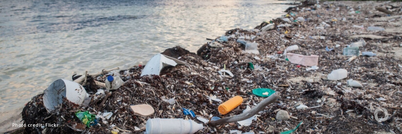UN, India and UK partner with young leaders globally to combat plastic pollution