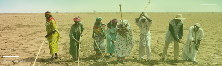 Agriculture in food-insecure A