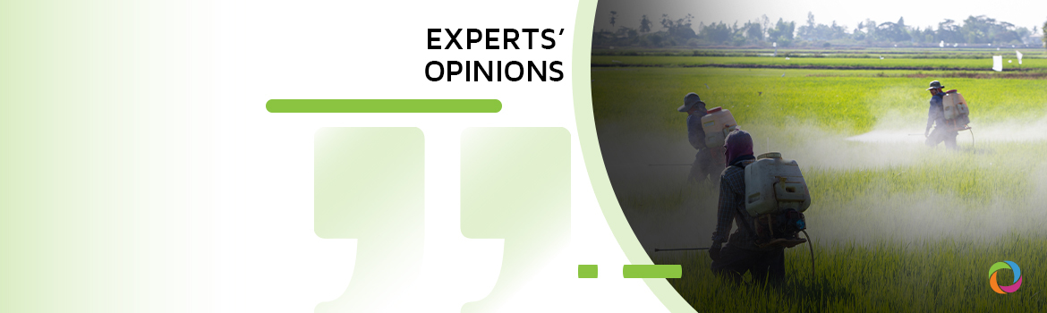 Illegal pesticide use in developing countries: risks and solutions | Experts’ Opinions