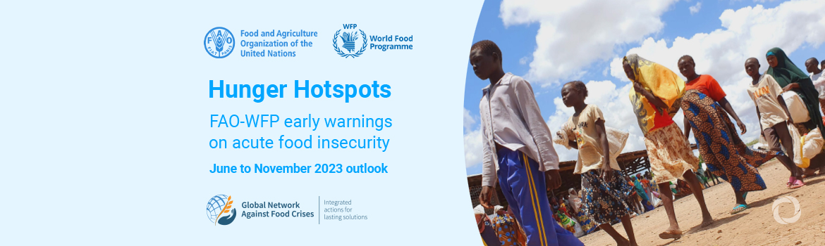 Increasing risk of hunger in hotspot areas as the Sudan crisis spills over into subregion and El Niño looms - warns new UN report