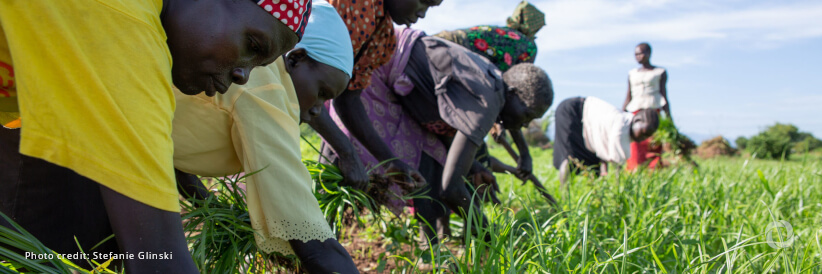 Japan renews support to developing countries on climate change with new $23.6 million package