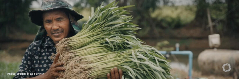 WFP and Cambodian partner launch US$3 million innovative project to support smallholder farmers WFP and Cambodian partner launch US$3 million innovative project to support smallholder farmers