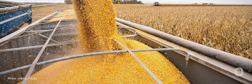 Black Sea Initiative exports top 30 million tonnes from Ukraine, as talks continue over renewal Black Sea Initiative exports top 30 million tonnes from Ukraine, as talks continue over renewal
