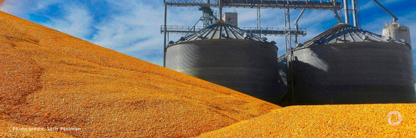 Russia confirms participation in grain deal for at least 60 more days Russia confirms participation in grain deal for at least 60 more days