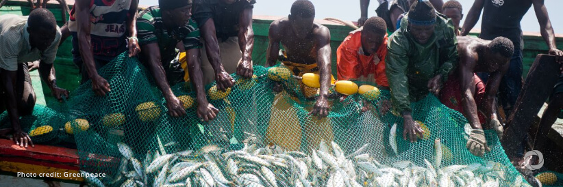 Angola casts net wider to scale up fish exports Angola casts net wider to scale up fish exports
