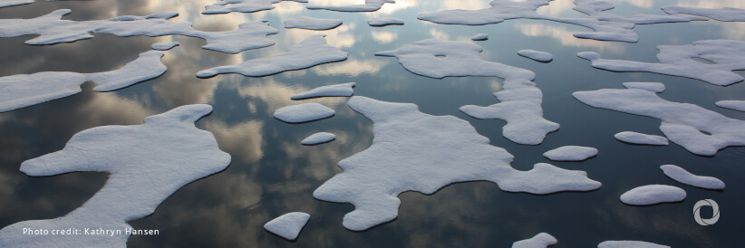 Rapid changes in cryosphere demand urgent, coordinated action Rapid changes in cryosphere demand urgent, coordinated action