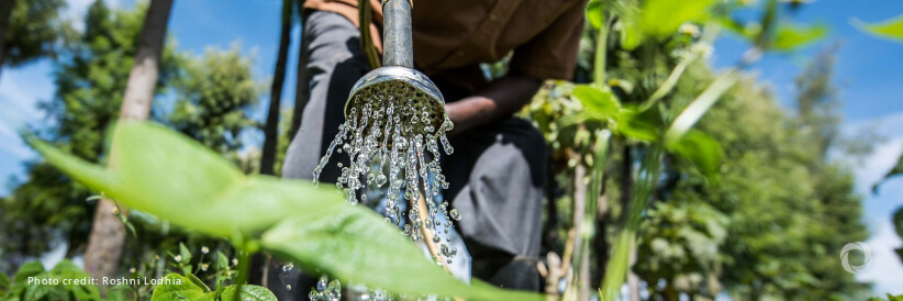 WFP and UNEP bolster global food and water security WFP and UNEP bolster global food and water security