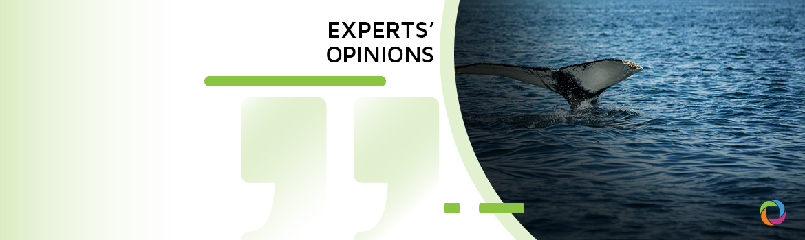 The High Seas Treaty – an ocean of opportunities for the marine world? | Experts’ Opinions