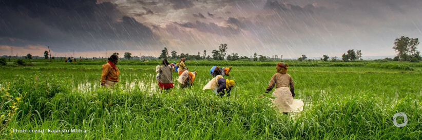 Bangladesh receives $858 million World Bank financing to improve climate resilient agriculture growth and road safety Bangladesh receives $858 million World Bank financing to improve climate resilient agriculture growth and road safety
