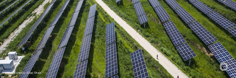 WFP and the Coca-Cola Foundation join forces to promote sustainable agriculture & green energy in Egypt WFP and the Coca-Cola Foundation join forces to promote sustainable agriculture & green energy in Egypt
