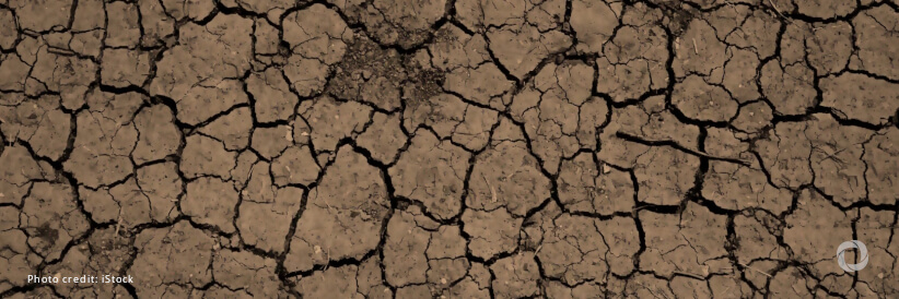 Drought planning stepped up amid potential hottest June on record