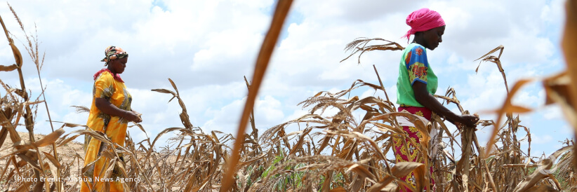 United Nations steps up efforts to build climate resilience in Tanzania United Nations steps up efforts to build climate resilience in Tanzania