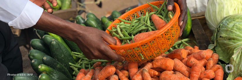 Food security and nutrition receive a boost in Mozambique Food security and nutrition receive a boost in Mozambique