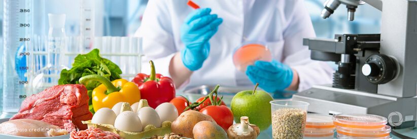 World Food Safety Day: ‘Nobody should die from eating food’ World Food Safety Day: ‘Nobody should die from eating food’