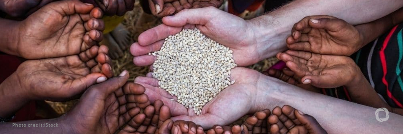 The United States announces $260 million in additional funding to address global food security crisis The United States announces $260 million in additional funding to address global food security crisis