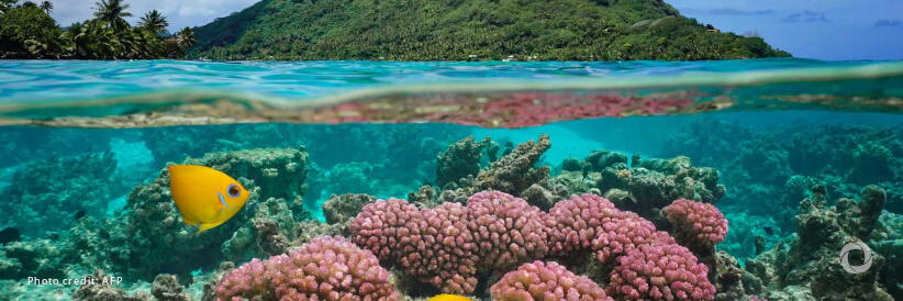 EBRD and partners to co-lead US$ 115 million programme for clean and healthy oceans EBRD and partners to co-lead US$ 115 million programme for clean and healthy oceans